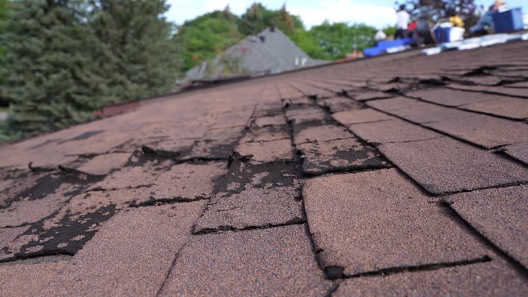 Best Roofing for New Construction  in Laurel Hill, VA
